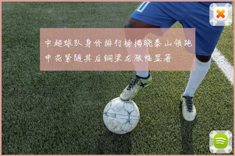 中超球队身价排行榜揭晓泰山领跑申花紧随其后铜梁龙涨幅显著